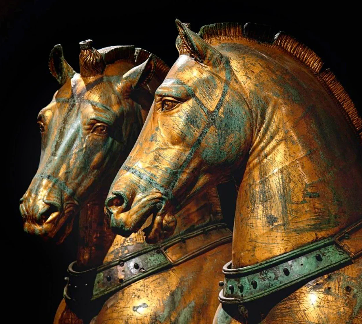Nereide 42 Bronzo 4521555 - Image 4